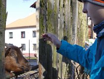 Brdy-17 0012  Přechod Brd, březen 2017