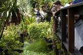 Výprava do botanické zahrady, březen 2013